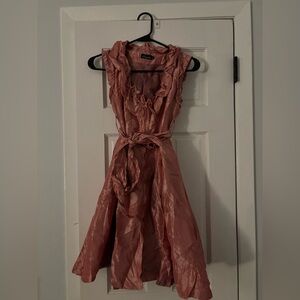Ariella Rose Ruffle Dress With High Collar